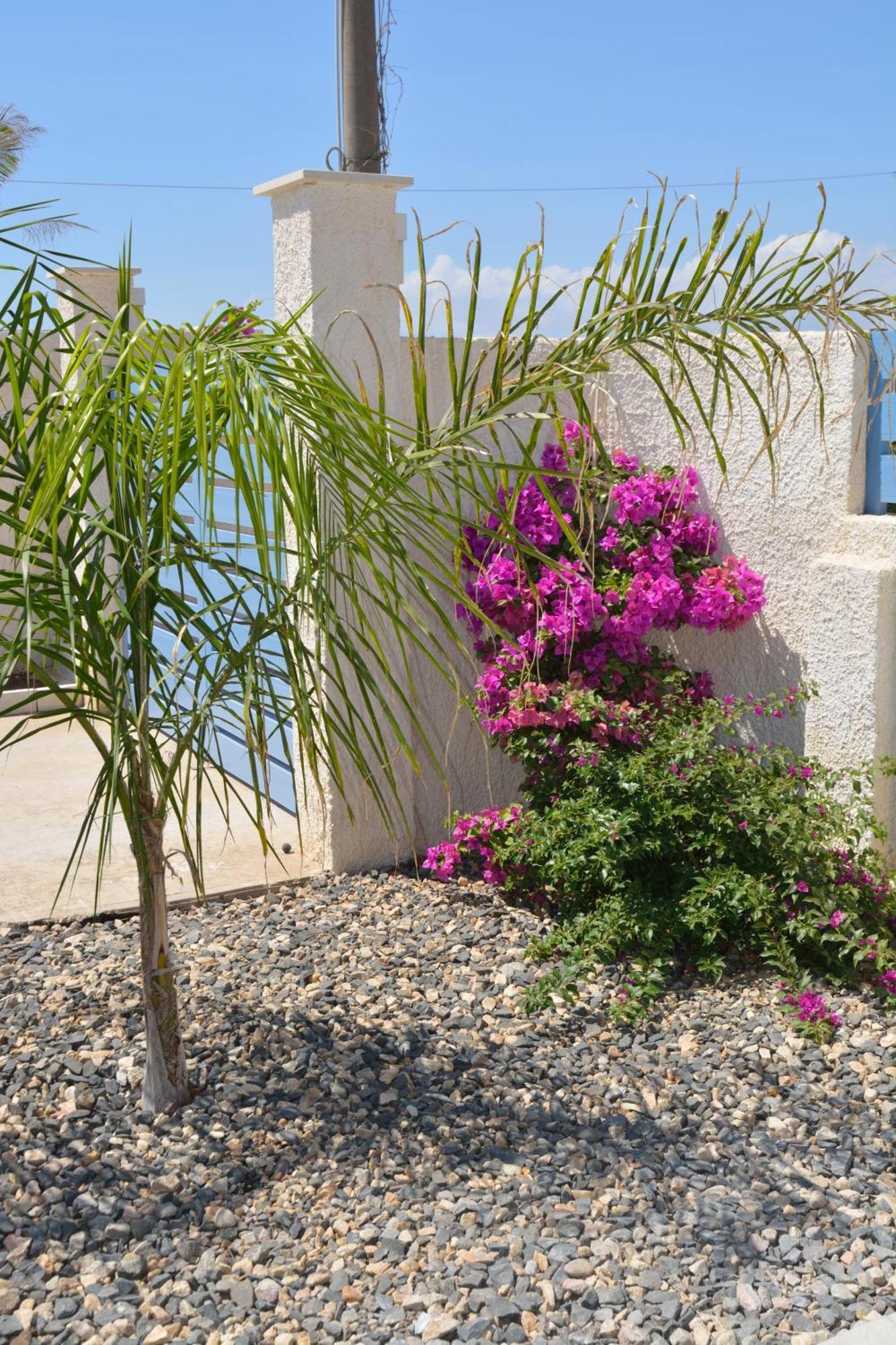 Villa Colapesce Marzamemi Exterior photo